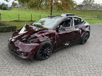  Tesla Model Y Dual Performance 393 kW 4 WD 2024/11