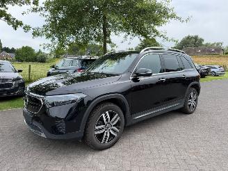 Avarii autoturisme Mercedes EQB 300 4Matic 168 kw / 7p / Leer 2024/8