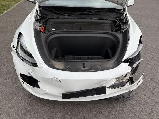 Tesla Model Y RWD 58 kWh / Panorama picture 10