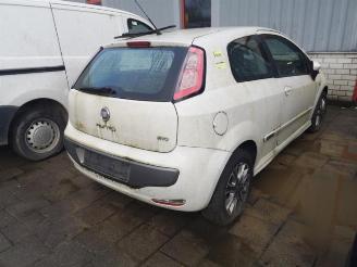 Fiat Punto Punto Evo (199), Hatchback, 2008 / 2012 1.3 JTD Multijet 85 16V Euro 5 picture 4