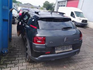 Citroën C4 cactus  picture 12