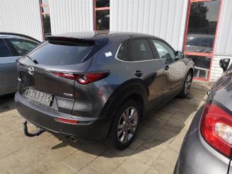 Mazda CX-30 CX-30 (DM), SUV, 2019 1.8 Skyactiv D 116 16V picture 5