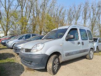 demontáž osobní automobily Renault Kangoo 1.2-16V Authentique 2008/9