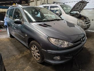 Sloopauto Peugeot 206 SW 2006/1