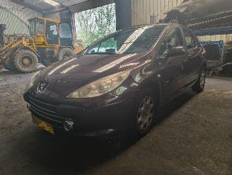  Peugeot 307 1.6-16V Oxygo 2007/5