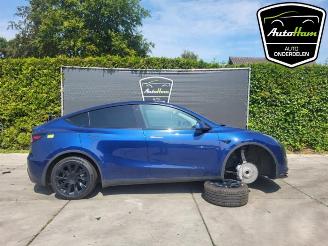 Vrakbiler auto Tesla Model Y Model Y (5YJY), SUV, 2019 Long Range 72kWh 2023