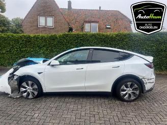 Auto da rottamare Tesla Model Y Model Y (5YJY), SUV, 2019 Long Range 72kWh 2023/1