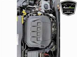 Volkswagen Polo Polo VI (AW1), Hatchback 5-drs, 2017 2.0 GTI Turbo 16V picture 12