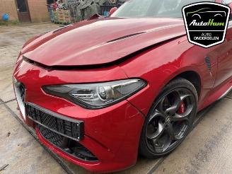 Alfa Romeo Giulia Giulia (952), Sedan, 2015 2.9 Bi-Turbo V6 24V Quadrifoglio Verde picture 10