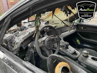 Porsche Panamera Panamera (971G), Liftback, 2016 / 2023 2.9 V6 24V 4 E-Hybrid picture 11