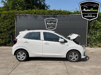 demontáž osobní automobily Kia Picanto Picanto (JA), Hatchback, 2017 1.0 DPI 12V 2024/10