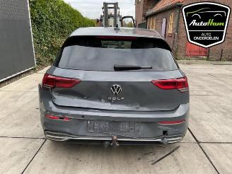 Volkswagen Golf Golf VIII (CD1), Hatchback, 2019 1.5 TSI BlueMotion 16V picture 9