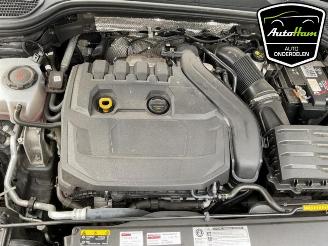 Volkswagen Golf Golf VIII (CD1), Hatchback, 2019 1.5 TSI BlueMotion 16V picture 13