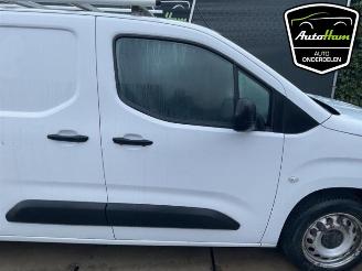 Opel Combo Combo Cargo, Van, 2018 1.5 CDTI 130 picture 14