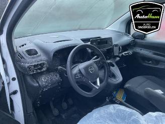 Opel Combo Combo Cargo, Van, 2018 1.5 CDTI 130 picture 20