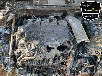 Audi S3 S3 Sportback (8YA), Hatchback 5-drs, 2020 2.0 T FSI 16V picture 17