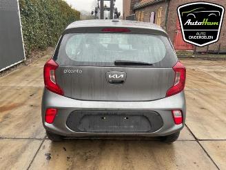 Kia Picanto Picanto (JA), Hatchback, 2017 1.0 DPI 12V picture 9