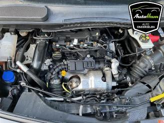 Ford Transit Connect Transit Connect (PJ2), Van, 2013 1.5 EcoBlue picture 20