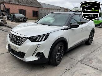 Peugeot 2008 2008 (UD/UK/UR/US/UX), MPV, 2019 e-2008 50 kWh picture 4