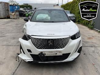 Peugeot 2008 2008 (UD/UK/UR/US/UX), MPV, 2019 e-2008 50 kWh picture 3