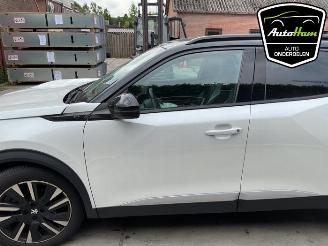Peugeot 2008 2008 (UD/UK/UR/US/UX), MPV, 2019 e-2008 50 kWh picture 6