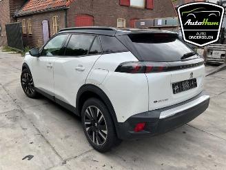 Peugeot 2008 2008 (UD/UK/UR/US/UX), MPV, 2019 e-2008 50 kWh picture 8