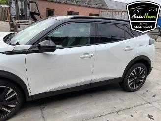 Peugeot 2008 2008 (UD/UK/UR/US/UX), MPV, 2019 e-2008 50 kWh picture 5