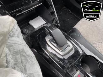 Peugeot 2008 2008 (UD/UK/UR/US/UX), MPV, 2019 e-2008 50 kWh picture 20