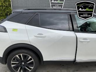 Peugeot 2008 2008 (UD/UK/UR/US/UX), MPV, 2019 e-2008 50 kWh picture 11
