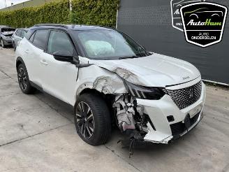 Peugeot 2008 2008 (UD/UK/UR/US/UX), MPV, 2019 e-2008 50 kWh picture 2
