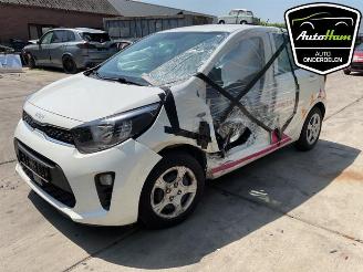 Kia Picanto Picanto (JA), Hatchback, 2017 1.0 DPI 12V picture 4