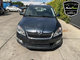 Skoda Fabia Fabia II Combi, Combi 5-drs, 2007 / 2014 1.2 TSI picture 3