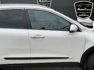 Kia Niro Niro I (DE), SUV, 2016 / 2022 E-Niro 64 kWh picture 12