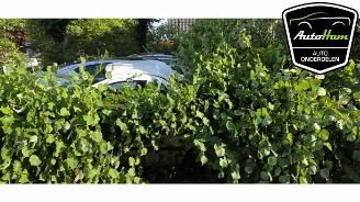 Purkuautot passenger cars Fiat Panda Panda (169), Hatchback, 2003 / 2013 1.2, Classic 2012/4