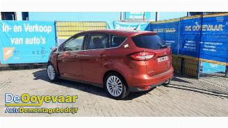 Coche siniestrado Ford C-Max C-Max (DXA), MPV, 2010 / 2019 1.0 Ti-VCT EcoBoost 12V 125 2017/4