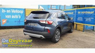 Ford Kuga Kuga III (DFK), SUV, 2019 2.5 PHEV 16V picture 7
