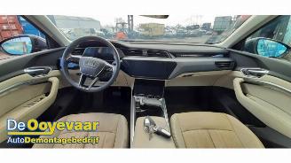 Audi Q8 Q8 E-tron (GEG), SUV, 2022 / 2025 50 Quattro 95 kWh picture 5