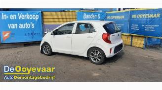 Kia Picanto Picanto (JA), Hatchback, 2017 1.0 12V picture 5