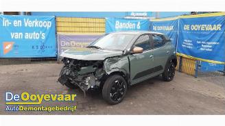 Dacia Spring Spring Cargo, Van, 2024 65 picture 6