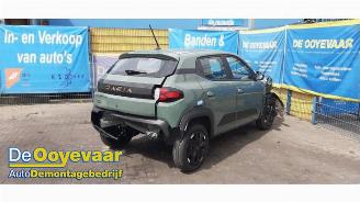 Dacia Spring Spring Cargo, Van, 2024 65 picture 5