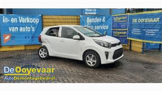 demontáž osobní automobily Kia Picanto Picanto (JA), Hatchback, 2017 1.0 DPI 12V 2024/2