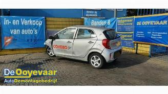 demontáž osobní automobily Kia Picanto Picanto (JA), Hatchback, 2017 1.0 DPI 12V 2024/4