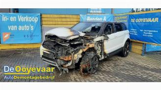 Land Rover Range Rover Evoque Range Rover Evoque (LVJ/LVS), SUV, 2011 / 2019 2.2 eD4 16V 5-drs. picture 4