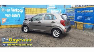 Kia Picanto Picanto (JA), Hatchback, 2017 1.0 12V picture 3