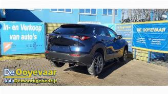 Mazda CX-30 CX-30 (DM), SUV, 2019 2.0 e-SkyActiv X 186 M Hybrid 16V picture 2