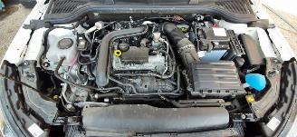 Skoda Kamiq Skoda Kamiq 1.0 TSI Ambition picture 8