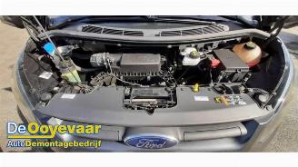 Ford Transit Transit Custom, Van, 2011 / 2023 2.0 TDCi 16V Eco Blue 105 picture 8