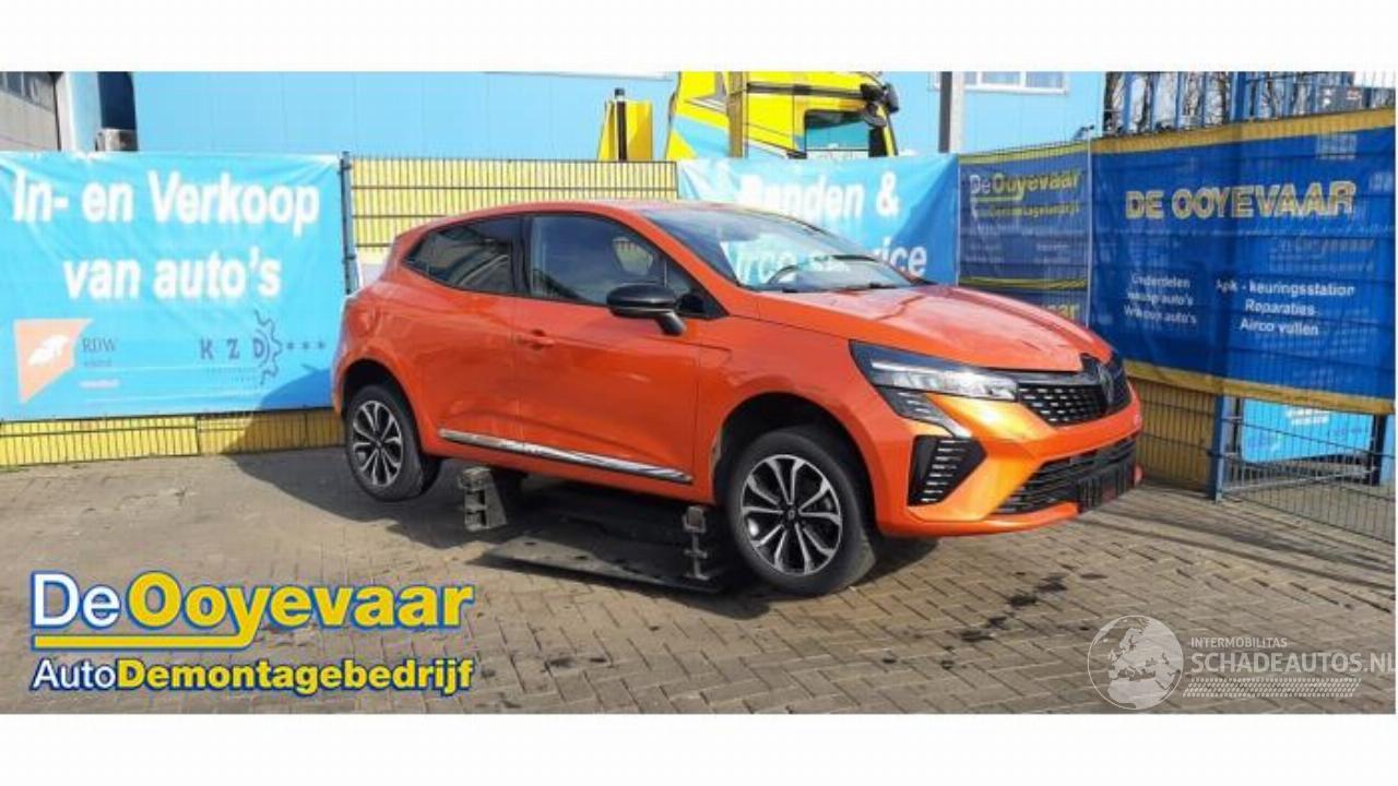 Renault Clio Clio V (RJAB), Hatchback 5-drs, 2019 1.0 TCe 90 12V