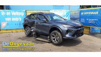 disassembly passenger cars Cupra Formentor Formentor, SUV, 2020 1.5 eTSI 16V 2025/7