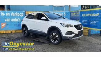 Coche siniestrado Opel Grandland Grandland (X), SUV, 2017 1.2 Turbo 12V 2019/1